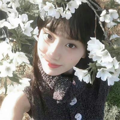 马莲花开